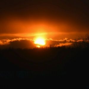 Meet your Posher, Candice